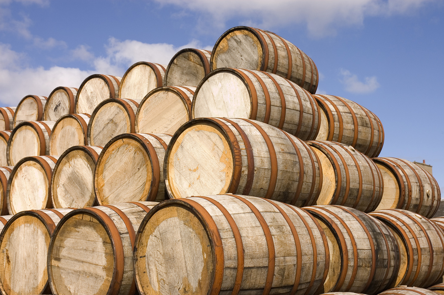 Getting Started As Whisky Cask Investor | Photo Of Whisky Cask Investments